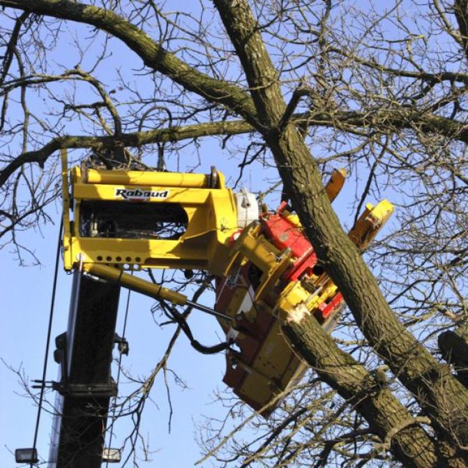 Rabaud tree cutter for telescopic handlers - XYLOCUT