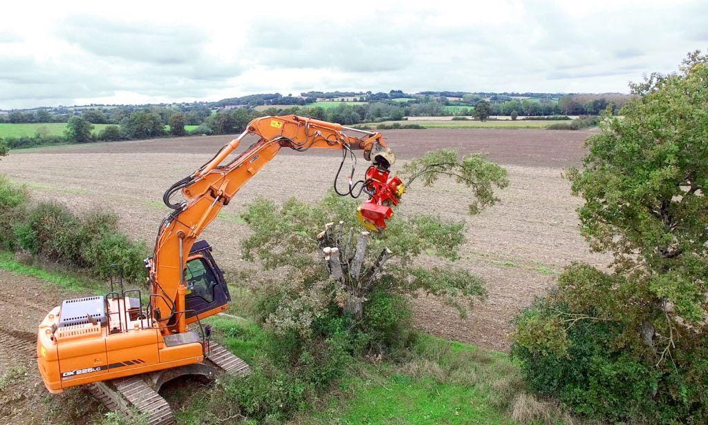 Rabaud excavator felling grapple / tree cutter - XYLOCUT PE