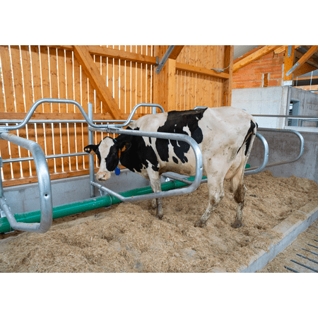 Patura Liegeboxen Nackenrohr - gewellt