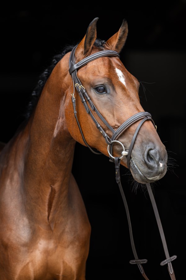 Kerbl Trensenzaum Classic