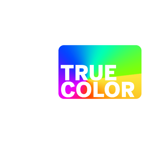 Elmag Automatic Welding Helmet - True Color