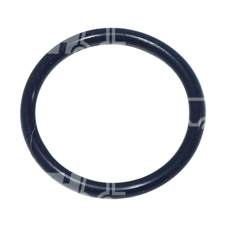 O-Ring EInspritzdüse