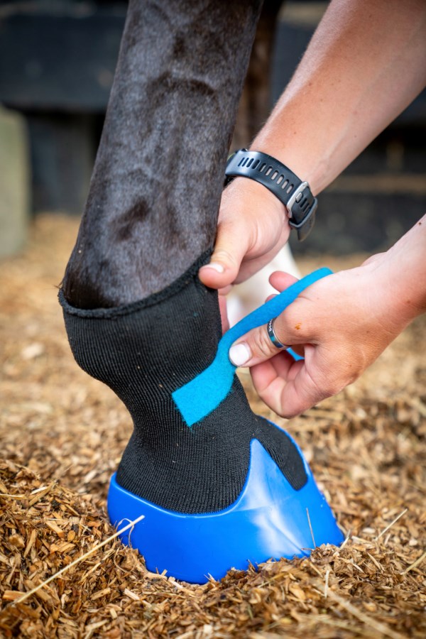 Hoof boot Tubbease™