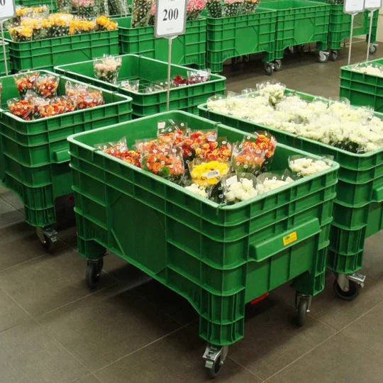 Grüner Einkaufswagen, Blumenkisten, Blumenständer, Frischware, Lagerwagen