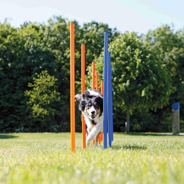 TRIXIE-Agility-Slalom-Set-orange-blau-3206-TRXI-zoo-4_600x600