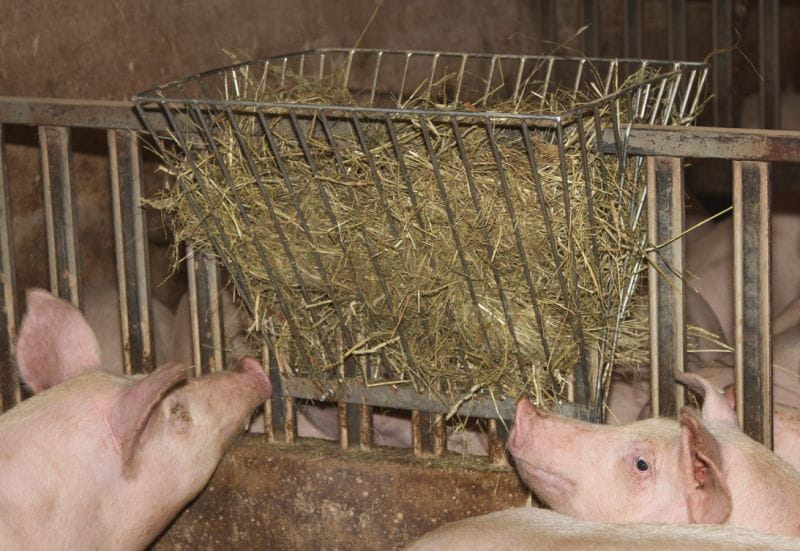 Doppelte Heuraufe 62,5 cm x 51 cm x 48 cm; verzinkt zum Aufstecken – Futterraufe für Pferdebox