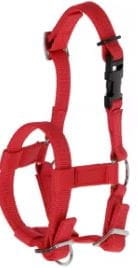 BL25894 Kerbl Alpaka Halfter verstellbar - rot