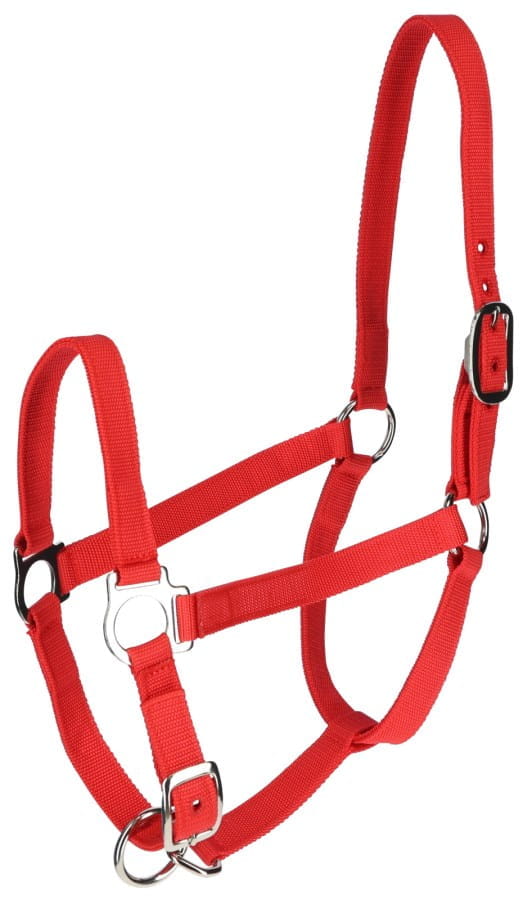 Kerbl Rinder / Kuh Vorführhalfter - rot