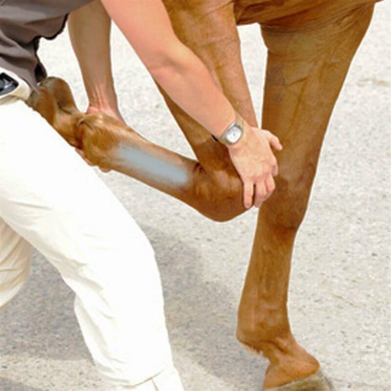 Pferde Silberspray Aloxan - Schutzfilm für Pferdehaut - 200ml