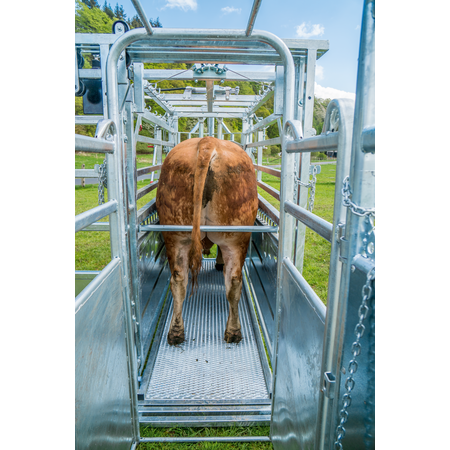 Patura Behandlungsstand A8000