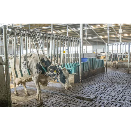 Patura Fingermodul für Fingergatter / Ein-Wege-Tor