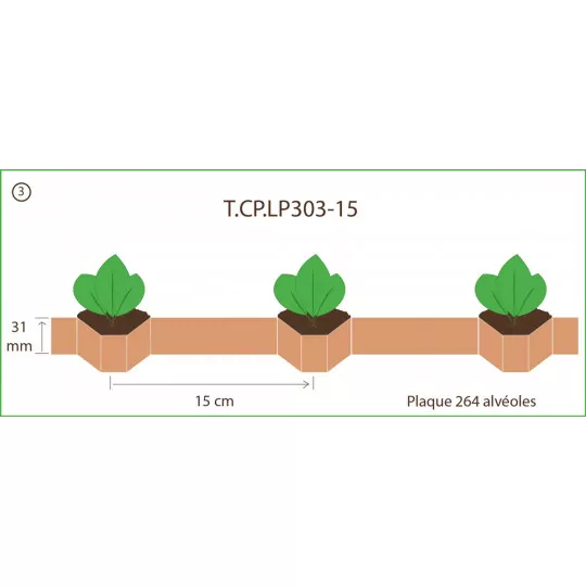 Terrateck 75x Kettentopfpapier 15 cm – 40 m Paperpot Chain Pots (264 Waben) für Profi-Anzucht