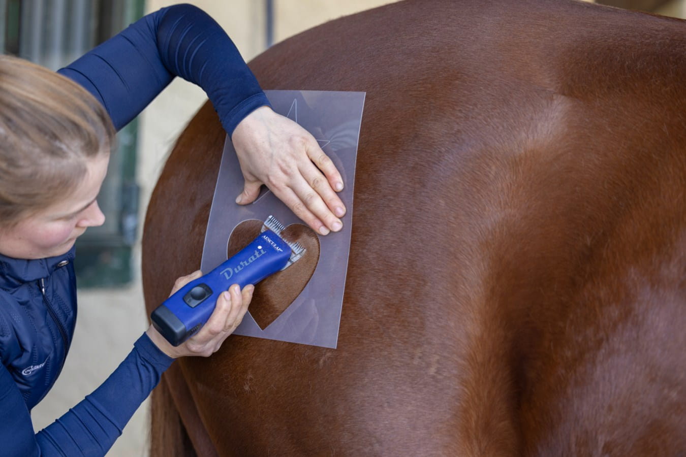 3 x Scherschablone - kreative Fellgestaltung