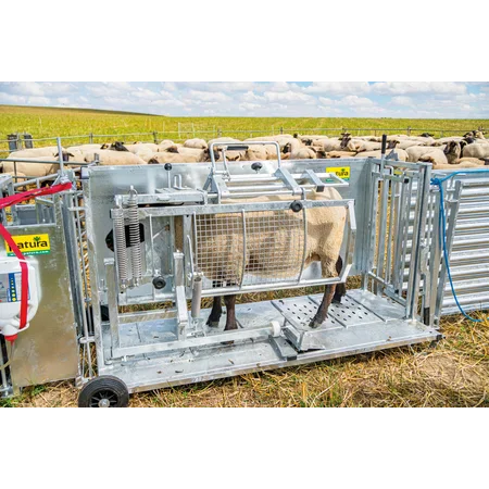 Patura Behandlungsstand - Typ L