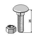 BL3042 Flachrundschraube/Mutter 51-1036 25 mm
