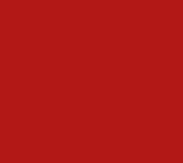 ET23469 Spraylack Kuhn rot alt - 400ml