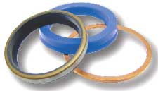 BL23824 Dichtsatz für Hydraulikzylinder - passend zu Hanomag LFE Frontlader