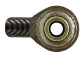 BL13752 Gelenkauge
