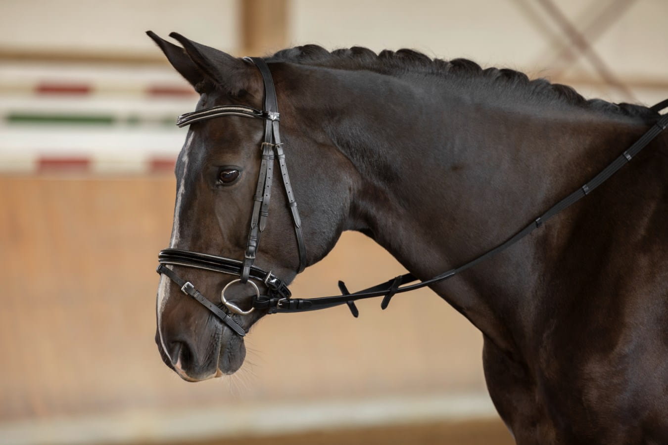 Kerbl Gurtzügel - Länge 280cm | Breite 20mm