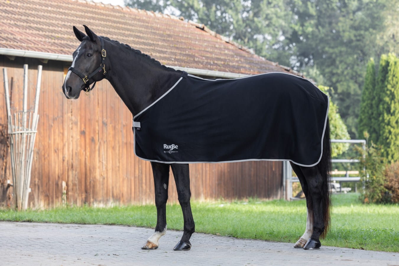 RugBe Economic fleece blanket | Transport and sweat blanket