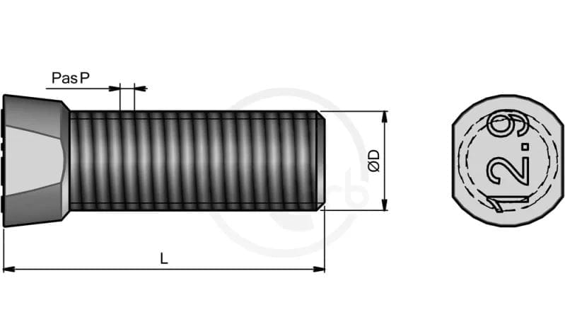 Agricarb screw with nut 12x39 TC. 2 flat