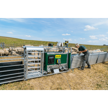 Patura 3 Wege-Wiege  und Sortierbox mit Druckluftbetrieb - für Schafe