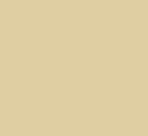 BL15099 Lack PZ Zweegers beige - 1 Liter