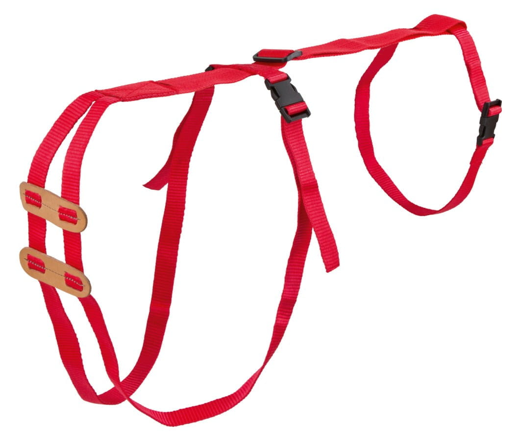 Schaf Vorfallbandage - verhindert die Entstehung und Ausweitung des Vorfalls