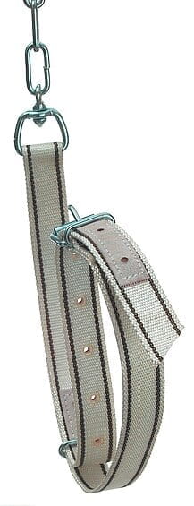 60101 Sauenanbindung mit Kette