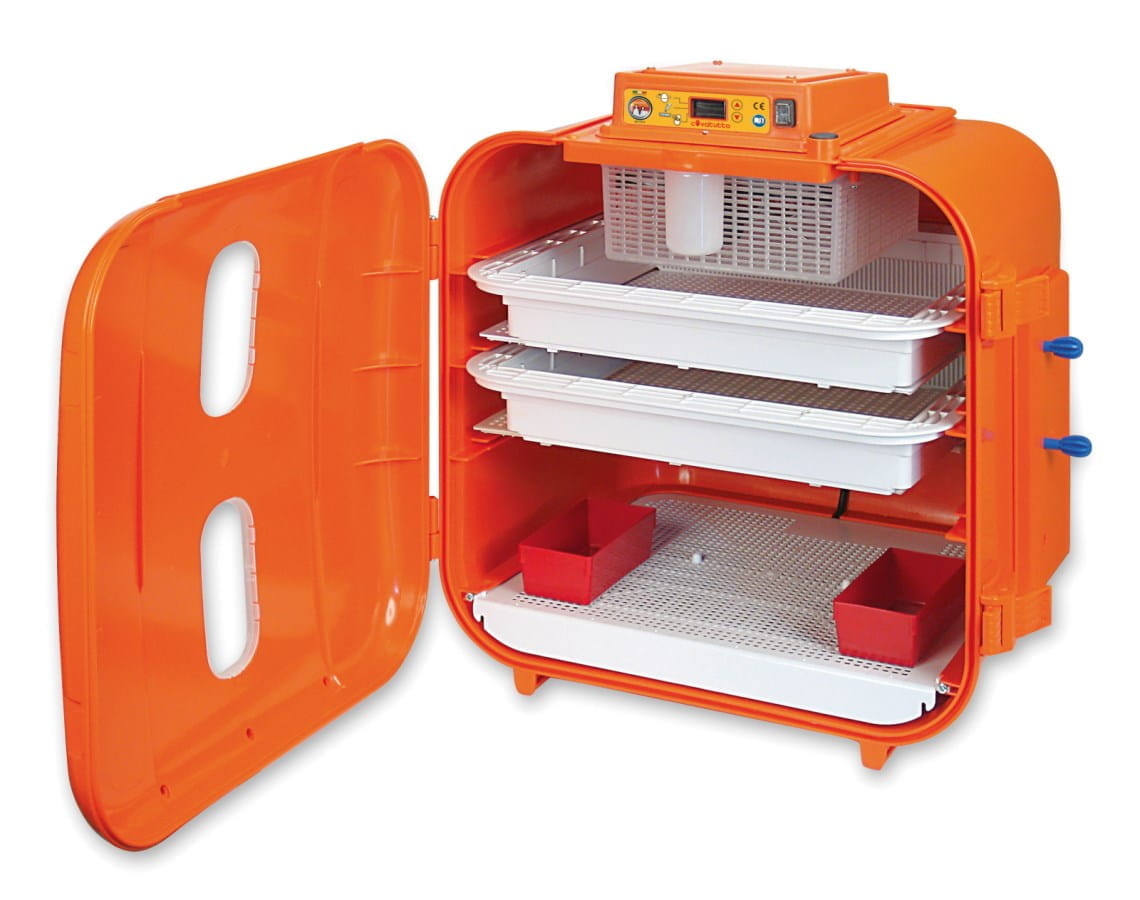 Küken Brutautomat 108 digital