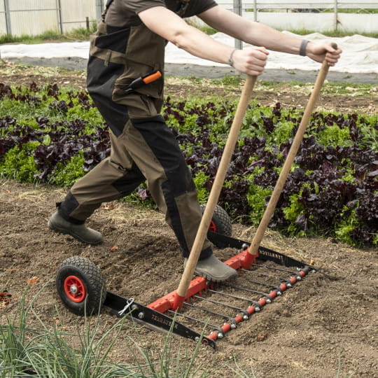 Gabel mit gegenläufigen Zinken – Campagnole