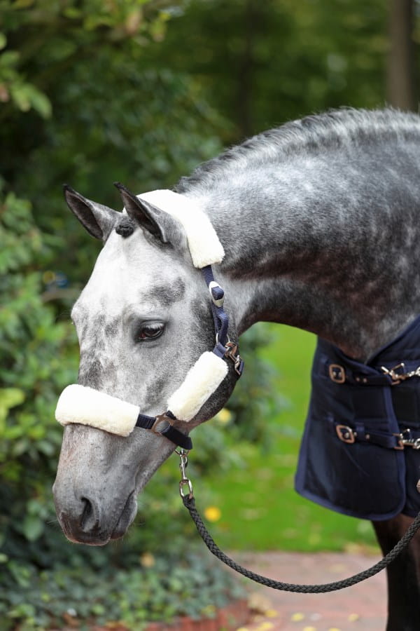 Kerbl Webpelz-Set für Halfter