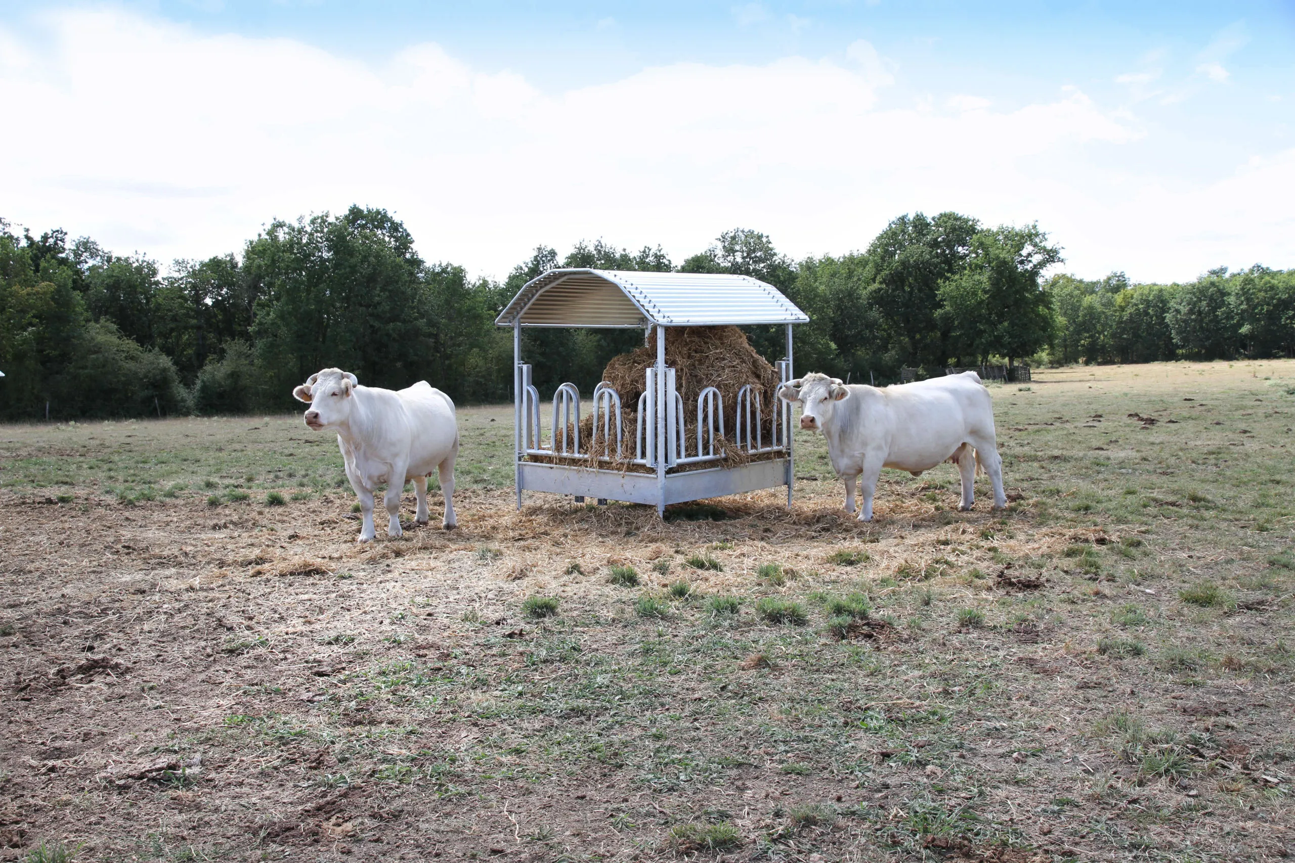Viereckraufe 2x2 m mit Palisaden-Fressgitter – Rundballenraufe für Pferde & Rinder feuerverzinkt