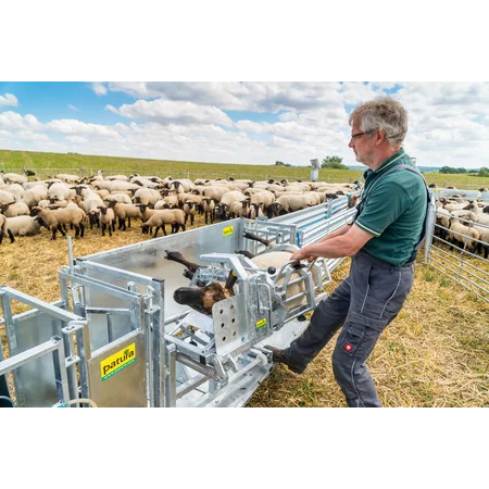 Patura Behandlungsstand - Typ L