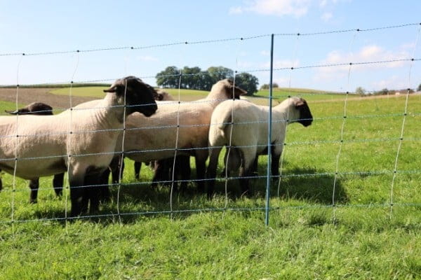 AKO-TitanNet-Premium-Vario-Hoehe-108-cm-K-27830-2_600x600