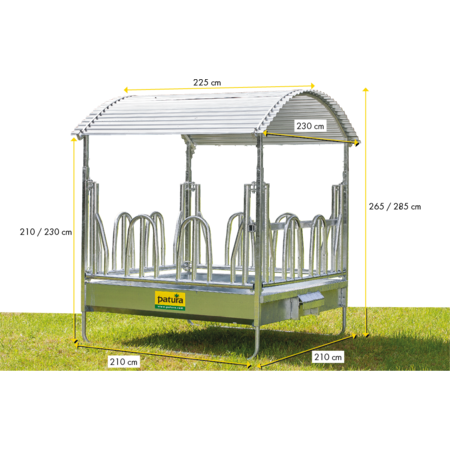 Patura Viereckraufe - mit Palisadenfressgittern