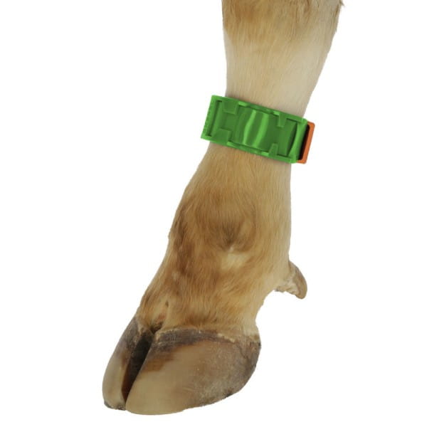 Fesselband-fuer-Fussbandnummern-K-20104_600x600