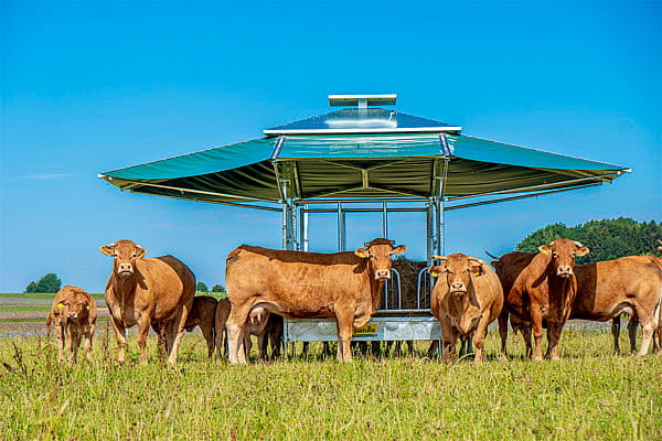 PATURA-Klima-Grossballenraufe-mit-Schraegfressgittern-30353711-2