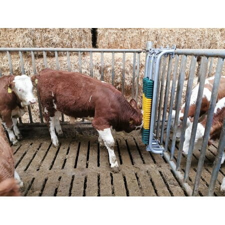 Patura gefederte Bürste mit Schutzrahmen - für Bullen