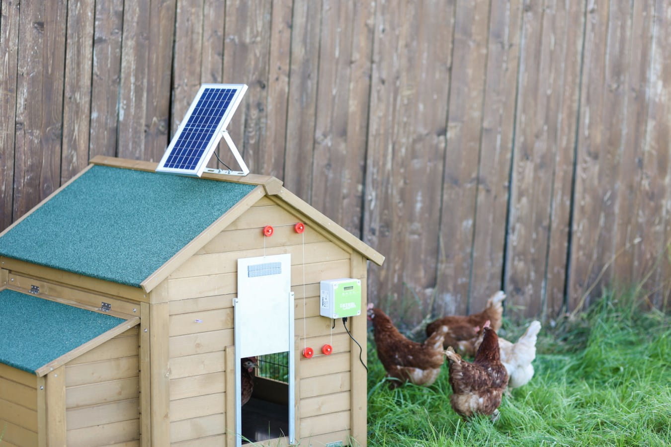 Solar battery set for automatic chicken coop door - 10W