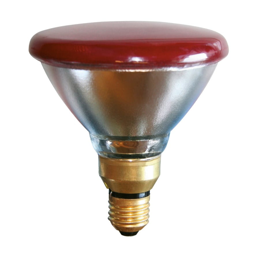 Infrared energy-saving lamp PAR38 E27 - red / 100W