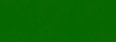 BL15301 Lack John Deere grün - 1 Liter