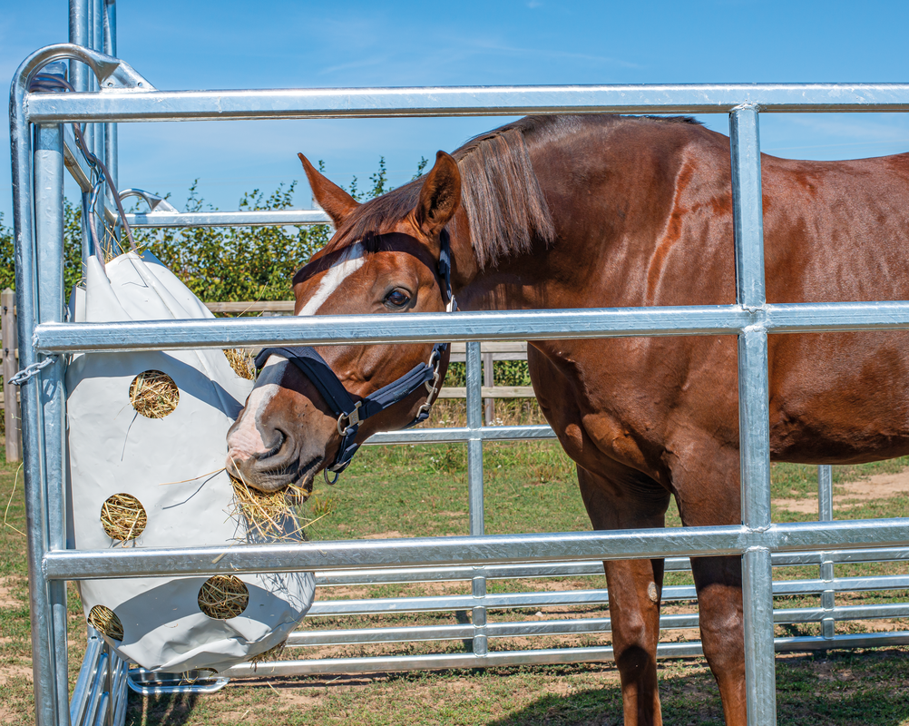 Patura Hay Net - 75L