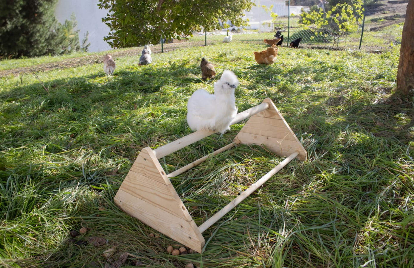 Holz Sitzstange für Hühner - 96 x 50 x 35cm