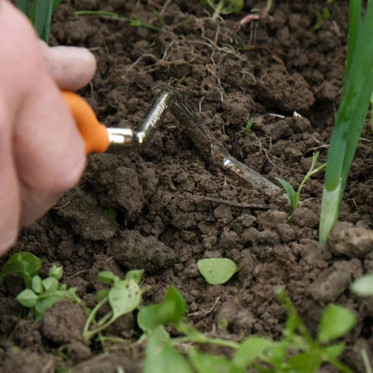 Hand hoe NIFTY No. 503