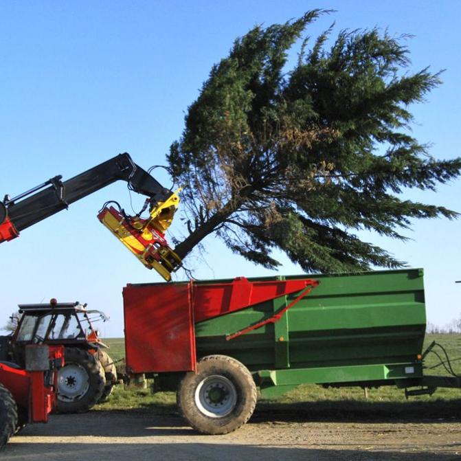 Rabaud tree cutter for telescopic handlers - XYLOCUT