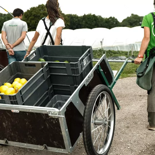 Flortill Vermont Cart – ergonomic transport cart for vegetable farming & horticulture