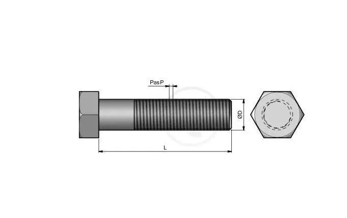 UnbenanntjgThayDD8OEWk_1920x1920