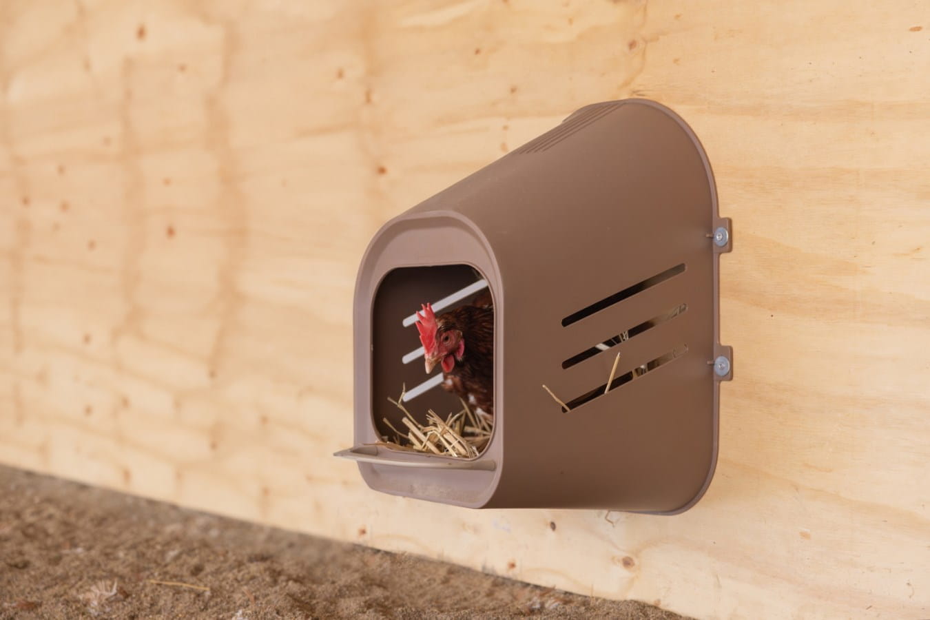 Chicken individual laying nest - for wall mounting