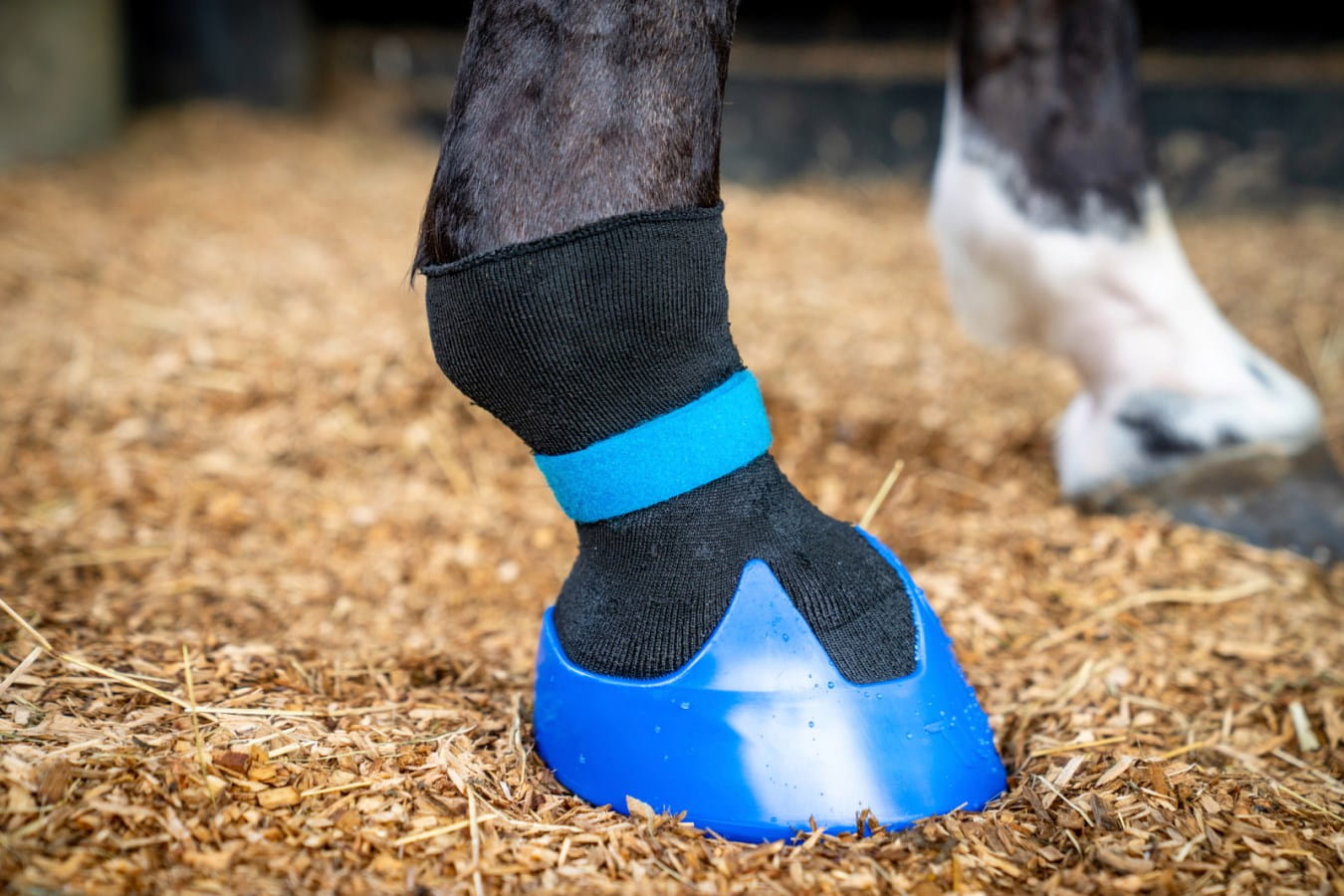 Hoof boot Tubbease™